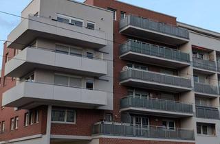 Wohnung mieten in Schandauer Straße 23 B, 01309 Striesen-Süd, Helle 1-Zimmer-Wohnung mit Zwei Balkons in Dresden-Schandauer Straße