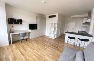 Wohnung mieten in Carl-Spindler-Straße 15a, 12555 Köpenick, Lichtdurchflutete voll möblierte 1-Raum-Wohnung nahe der Spree