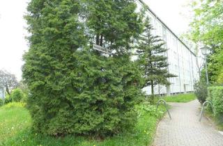 Wohnung mieten in Heinrich-Beck-Straße 81, 09112 Kaßberg, Wohnlich, ledig, jung sucht... Mieter für trendige 2RAUM Wohnung