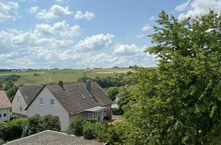 Wohnung mieten in 97877 Wertheim, Traumhafte helle 3,5 Zimmer Wohnung mit 86 qm Wohnfläche in Waldrand Nähe