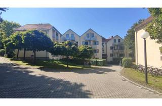 Wohnung mieten in Kreuzbaumstr. 23a, 93053 Oberisling-Graß, für Studenten: 1 Zimmer-Appartement in zentraler Lage - ab 01.04.