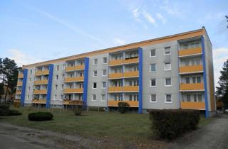 Wohnung mieten in Mariefredstraße, 16831 Rheinsberg, 3 Raum Wohnung für junge Familien am Bildungscampus