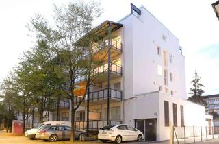 Penthouse mieten in Hegaustraße 49, 78224 Singen, Penthousewohnung mit zwei Dachterrassen und Blick über die Dächer bis zum Hohentwiel