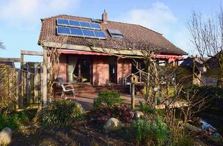 Einfamilienhaus kaufen in 30890 Barsinghausen, Lichtdurchflutetes Einfamilienhaus mit zwei Bädern, Vollkeller, Kamin und großem Teich im Garten!