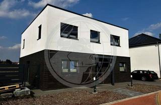 Villa kaufen in 29229 Celle, Neuwertige Stadtvilla mit exklusiver Innenarchitektur - in Feldrandlage