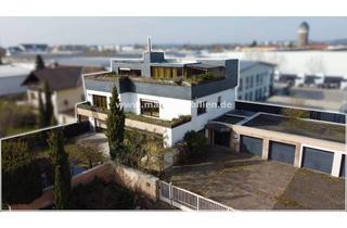 Villa kaufen in 63165 Mühlheim, Privat und exklusiv: Villa mit sieben Garagen - jeden Tag ein Highlight!
