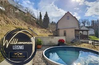Haus kaufen in 04703 Bockelwitz, Provisionsfrei - Pool, Kamin und viel Ruhe bei Leisnig!