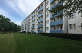 Wohnung mieten in Kreyssigstraße 27, 14770 Brandenburg, Nachmieter gesucht mit Option zur Küchenübernahme