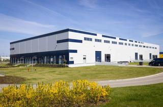 Gewerbeimmobilie mieten in 59067 Herringen, Lager-/ Produktionsfläche | BTS | Kranbahn