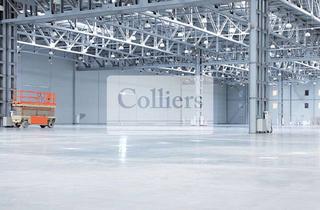 Gewerbeimmobilie mieten in 77833 Ottersweier, Hallen- und Lagerflächen