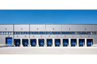 Gewerbeimmobilie mieten in 36179 Bebra, "BAUMÜLLER AG" - ca. 14.000 qm Lager-/ Produktionshalle - ebenerdig