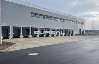 Gewerbeimmobilie mieten in 59174 Kamen, Provisionsfreie Logistikhalle | 7 Rampen | 7.200m²