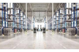 Büro zu mieten in 46499 Hamminkeln, Dingden | ca. 7.000 m² Lager-/Hallenfläche + Büro | Mietzins auf Anfrage