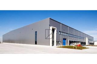 Gewerbeimmobilie mieten in 36251 Bad Hersfeld, "BAUMÜLLER AG" - ca. 14.000 qm Hallen-/ Produktionsfläche - Rampenandieung