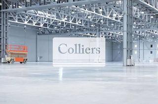 Büro zu mieten in 77731 Willstätt, Hallen- und Büroflächen