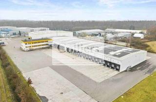 Büro zu mieten in 77767 Appenweier, Crossdock Halle nahe Frankreich