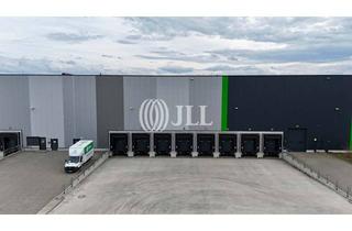 Gewerbeimmobilie mieten in 14641 Wustermark, Neuwertige 8.000 qm Logistikfläche im GVZ Wustermark