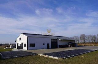 Gewerbeimmobilie kaufen in 29664 Walsrode, Top Gewerbehalle, neuester Standard, sehr gute Lage - perfekt für Ihr Unternehmen!