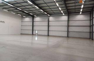 Gewerbeimmobilie mieten in 64584 Biebesheim, Moderne Gewerbehalle (mittig geteilt) 900 qm im Gewerbegebiet Biebesheim zu vermieten