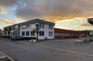 Büro zu mieten in Robert-Bosch-Str., 79395 Neuenburg, Gewerbehalle mit Büro und Verwaltung, Lager und Produktion