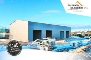 Büro zu mieten in 18209 Bad Doberan, Moderne ca. 140 m² große Gewerbeeinheit mit Büro & 4 Stellplätzen zu vermieten