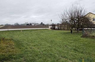 Grundstück zu kaufen in 85104 Pförring, leeres Grundstück für ein EFH zu verkaufen