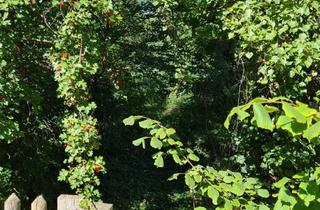 Grundstück zu kaufen in 14548 Schwielowsee, Traumgrundstück in Caputh