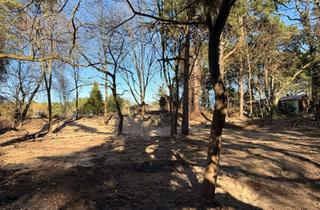 Grundstück zu kaufen in 15806 Zossen, Großzügiges Baugrundstück am Naturschutzgebiet „Dünen Dabendorf“