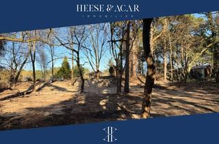 Grundstück zu kaufen in 15806 Zossen, Großzügiges Baugrundstück am Naturschutzgebiet „Dünen Dabendorf“