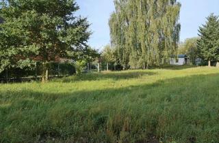 Grundstück zu kaufen in 14542 Werder (Havel), Gemeinsam bauen und leben: Grundstück für zwei Familien in Werder (Havel)