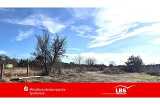 Grundstück zu kaufen in 15806 Zossen, Großes Baugrundstück in Zossen