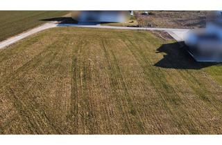 Grundstück zu kaufen in 92331 Parsberg, Viel Platz für Ihr Traumhaus – 1.295m² Grundstück!