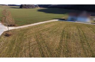 Grundstück zu kaufen in 92331 Parsberg, Hier kann Ihr Zuhause entstehen – 1.395m² Baugrund!