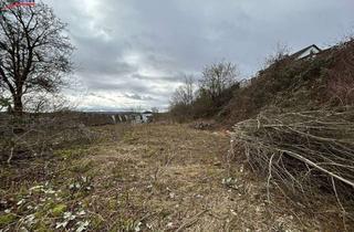 Grundstück zu kaufen in 91757 Treuchtlingen, Großzügiges, erschlossenes Grundstück – perfekt für Ein- oder Mehrfamilienhaus - 91757 Treuchtlingen