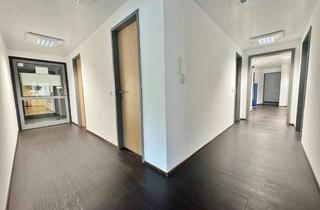 Büro zu mieten in 80337 Ludwigsvorstadt-Isarvorstadt, Moderne Bürofläche nahe Sendlinger Tor – effizient und zentral | Renovierung nach Mieterwunsch