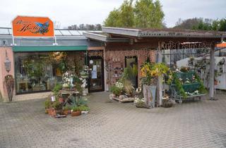 Geschäftslokal mieten in Albert-Schweitzer-Straße, 76703 Kraichtal, Laden mit Verkaufsgewächshaus