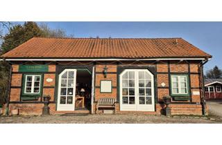 Büro zu mieten in Auf Dem Gut, 21493 Basthorst, Lichtdurchfluteter Verkaufs-/Büroraum auf Gut Basthorst zu vermieten!