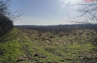 Gewerbeimmobilie kaufen in 26683 Saterland, Ackerland in Saterland – Scharrel zu verkaufen