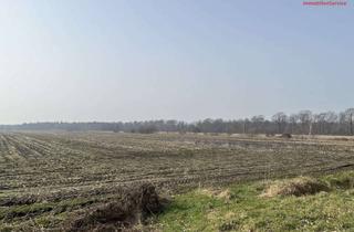 Gewerbeimmobilie kaufen in 26169 Friesoythe, Ackerland in Friesoythe – Neuscharrel zu verkaufen