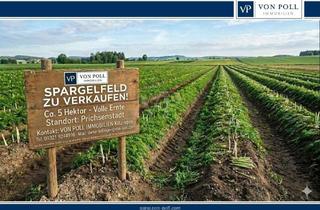 Gewerbeimmobilie kaufen in 97357 Prichsenstadt, Seltene Investmentchance: Ertragreiches Spargelfeld (ca. 5 ha) in Prichsenstadt
