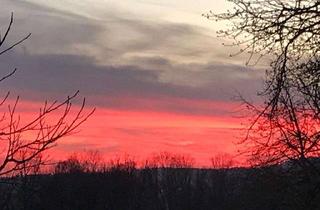 Wohnung kaufen in 14913 Niedergörsdorf, helles Appartement mit kleiner Loggia, optimal geschnitten