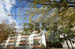 Wohnung kaufen in 06122 Nördliche Neustadt, Charmantes Investment