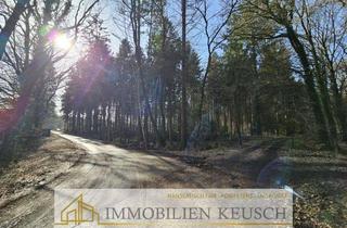 Anlageobjekt in 27729 Hambergen, Wer hat schon einen eigenen Wald in ruhiger Randlage von Hambergen ? Möglicherweise Sie demnächst !