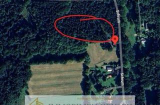 Grundstück zu kaufen in 27729 Hambergen, Preis deutlich reduziert! Eigenes Waldgrundstück in ruhiger Randlage von Hambergen