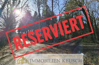 Grundstück zu kaufen in 27729 Hambergen, Preis deutlich reduziert ! Eigenes Waldgrundstück-Moorgebiet in ruhiger Randlage von Hambergen