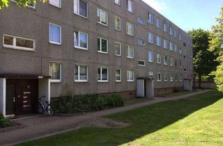 Wohnung mieten in Liegnitzer Straße 32, 34123 Waldau, Wohnglück - günstige 3-Zimmer-Wohnung in grüner Wohnlage