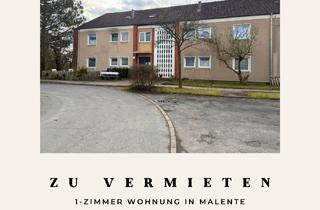 Wohnung mieten in 23714 Malente, Gepflegte 1-Zimmer-Wohnung mit Balkon in Malente
