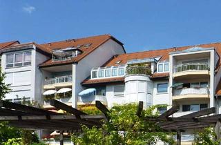 Wohnung mieten in 61440 Oberursel, Oberursel: Herrliche 3 Zi.- Wohnung - neu versiegeltes Parkett & neue Sanitärbereiche - 2 Balkons