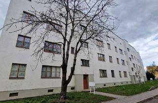 Wohnung mieten in Reichelstr. 11, 39124 Neue Neustadt, Extra großes Wohnzimmer und sonniger Balkon - einziehen und wohlfühlen!