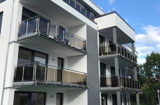 Wohnung mieten in Holzheimer Straße 51b, 65549 Limburg, Erstklassige 2-Zimmer Wohnung mit Südbalkon in Limburg an der Lahn